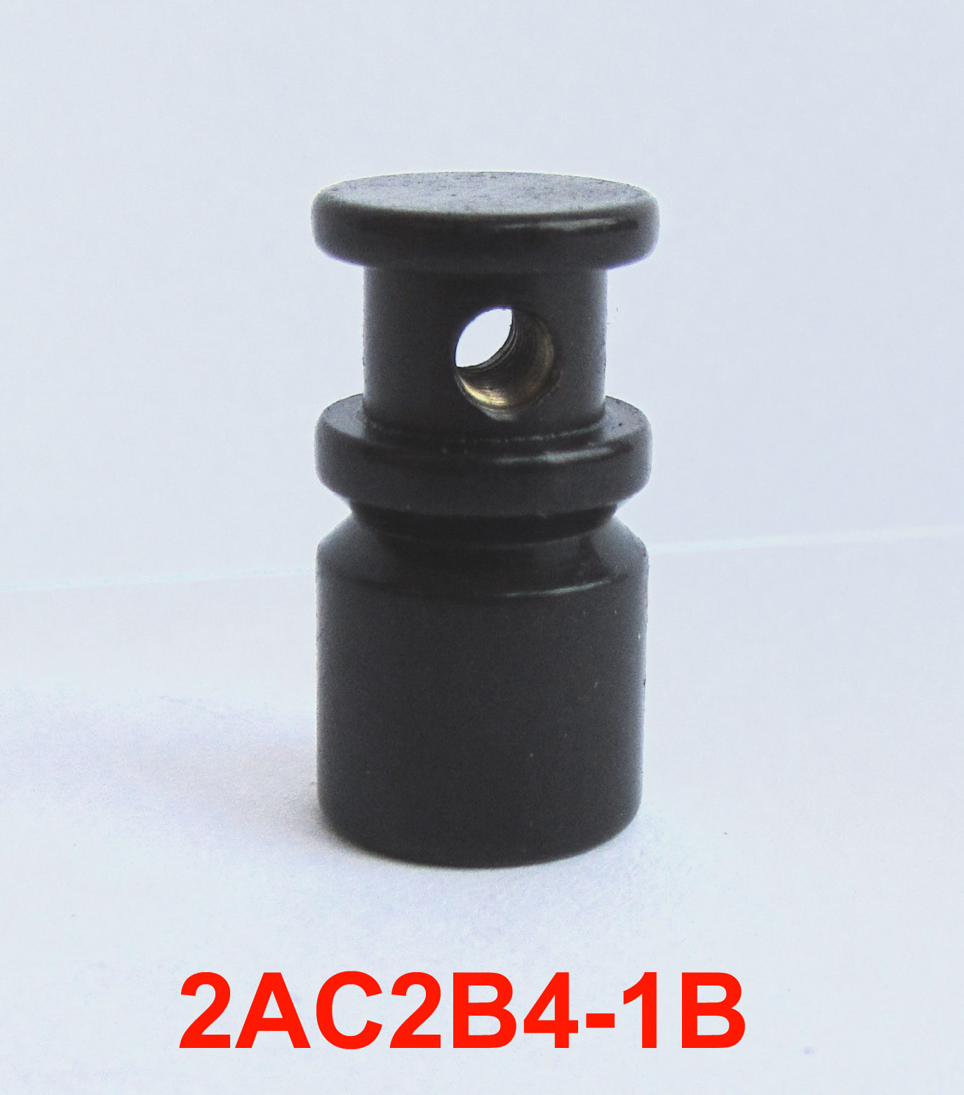 2AC2B4-1B__95a6e899-c7ea-4ac7-9cb7-c1b8ae9d9d29
