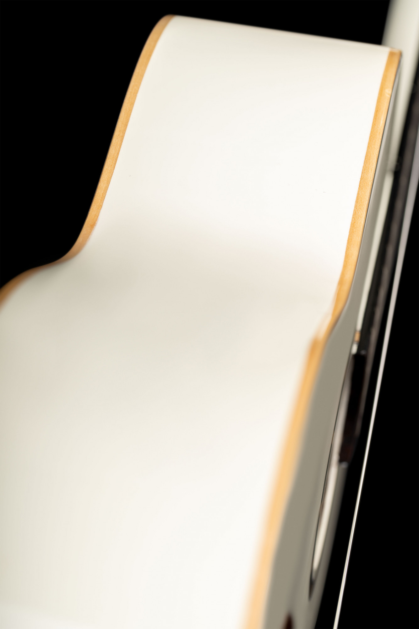 R121SNWH__b266f654-83fe-4cae-af78-7518ecfbfaf7