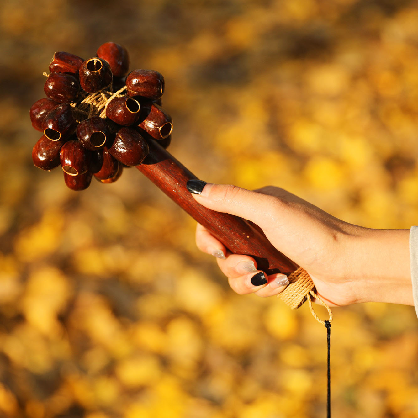 Meinl Sonic Energy Pala Rod Shaker (SPH)