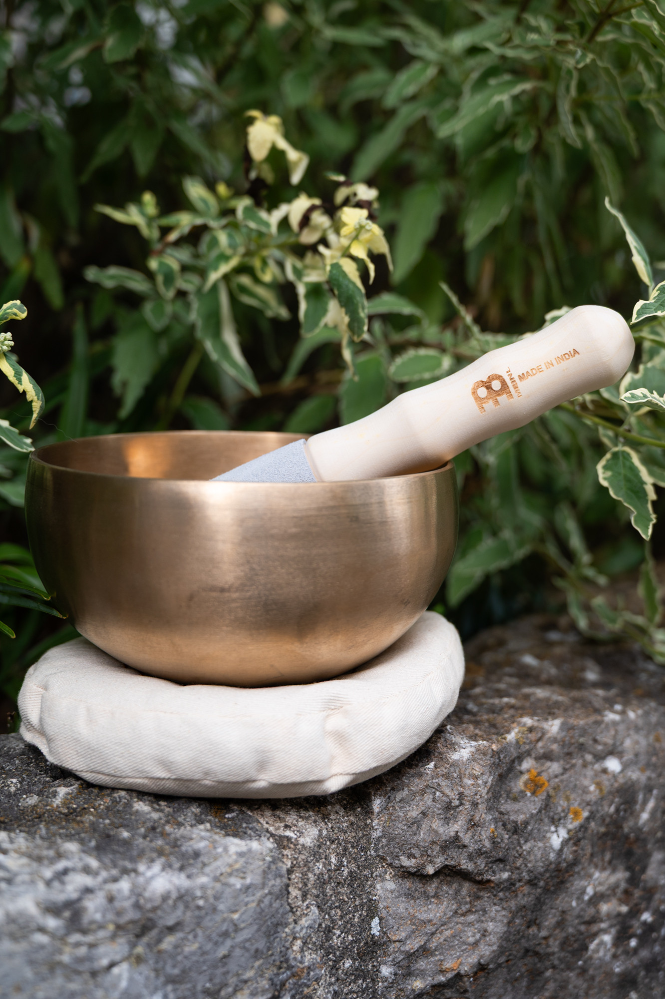 SB-SET-FOL600__7b8b5afd-460f-40da-a3b1-3723e32b0d57