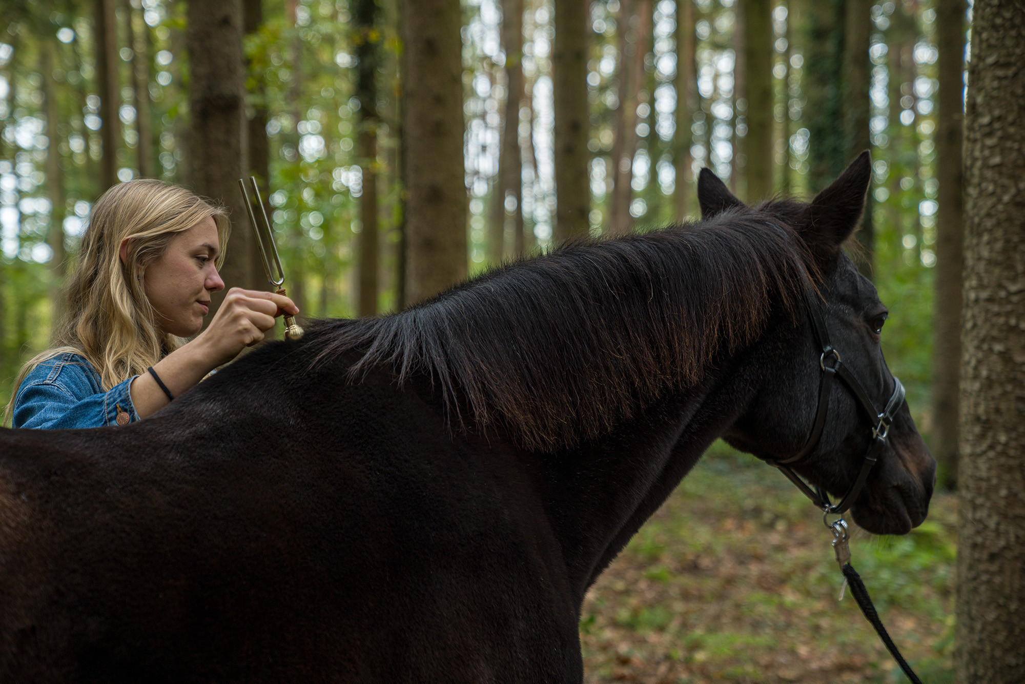 VF-RM__1e6c2472-c612-404e-b2ff-d8b39adb3a49