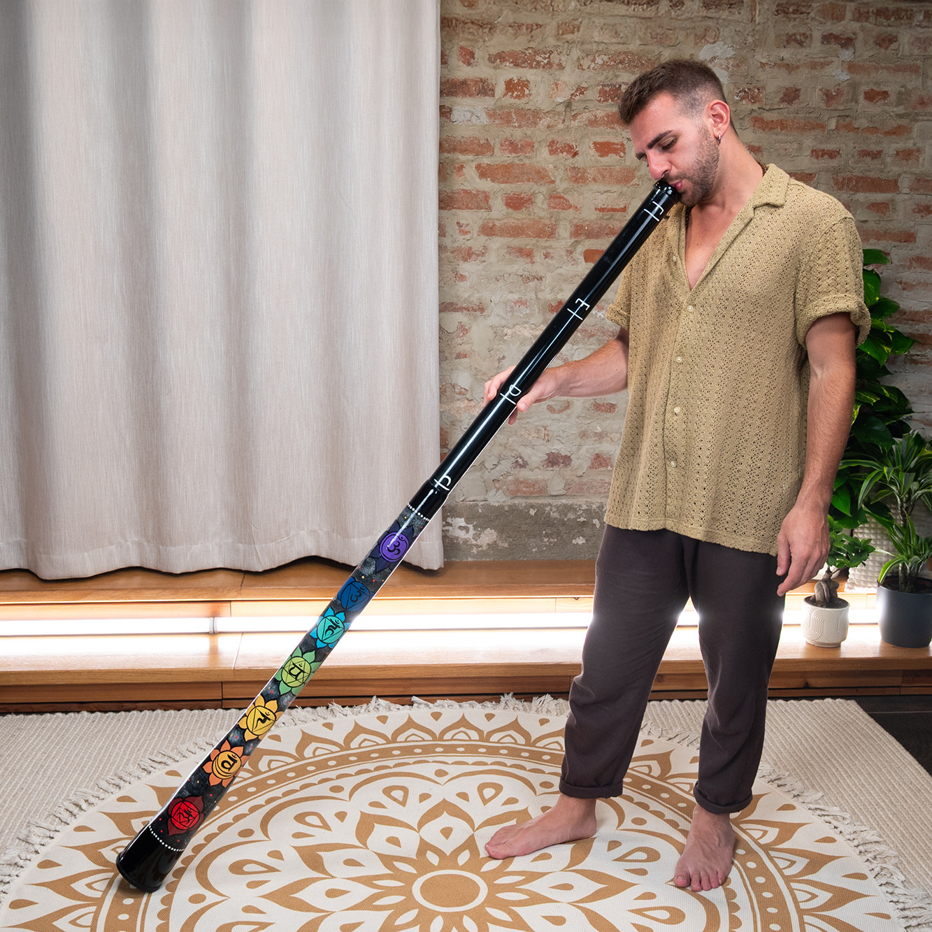 Meinl Sonic Energy Chakra Didgeridoo - C, D, E, F Stimmung (DDCHA)