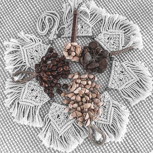 Nuss-Shaker_teaserphoto