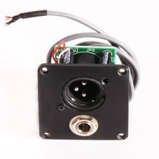 IBANEZ Ausgangsbuchse: 6,3 mm, XLR Combo, für Fishman Presys - chrom (5AJK19E)