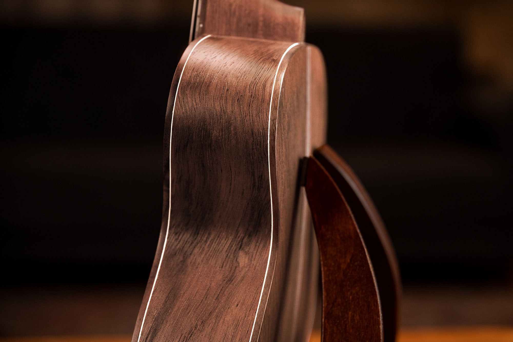 LIZARD-CC-GBL__f4b299c9-d089-4f53-852d-04242fcc650a