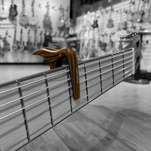 Ortega Capo_teaserphoto