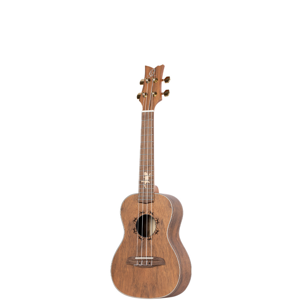 LIZARD-CC-GBL__ba0787aa-0989-4401-9529-ed08e1e7907d