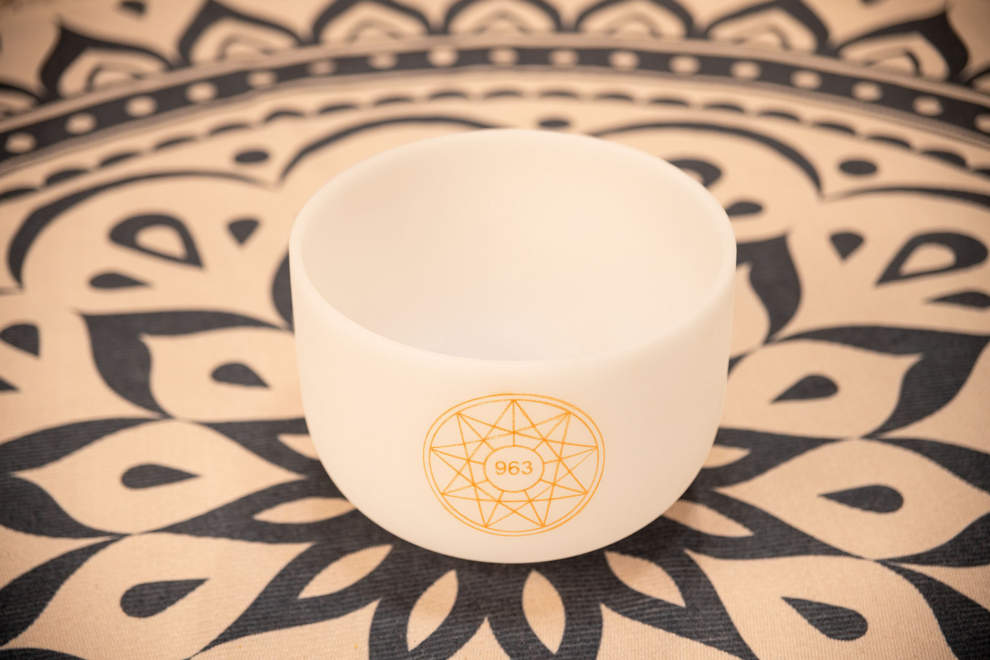 SOLCSB10-963__eac40f07-e775-4d65-97fa-6e0a4632ca9b