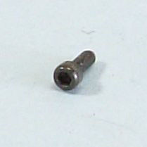 IBANEZ saddle holding - bolt for ILT1 12 pcs. (2CD2-C5)