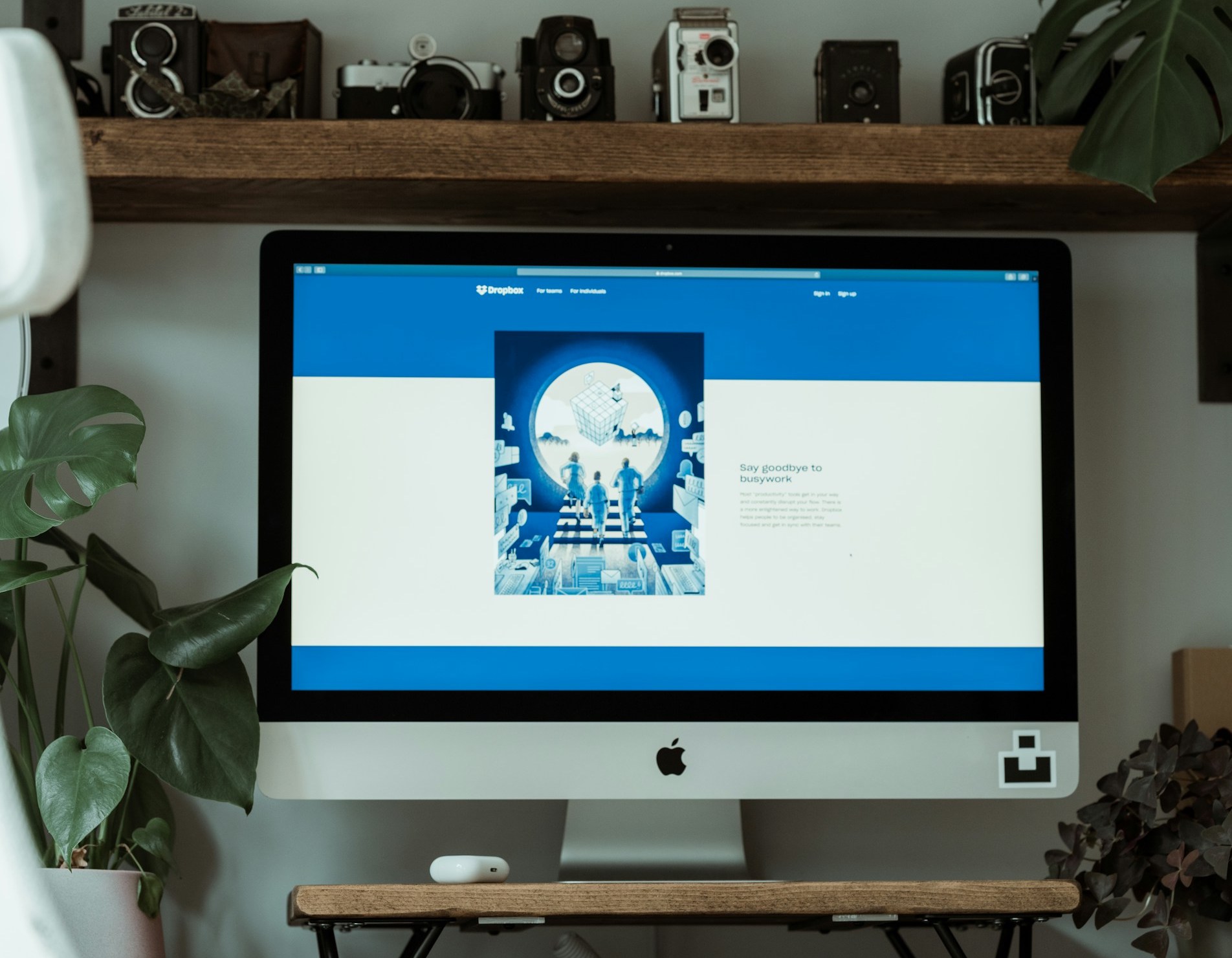 Dropbox Announces Cuts Amid Leadership Changes