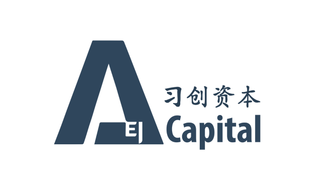 AEI Capital Group