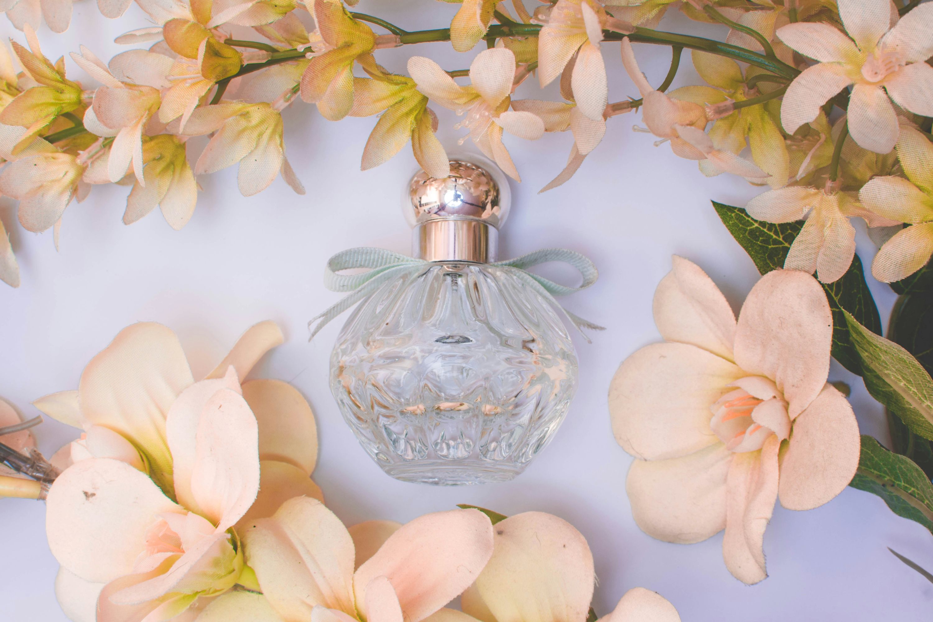 J. Fragrances Takes Its Fragrance Portfolio to Beautyworld Dubai