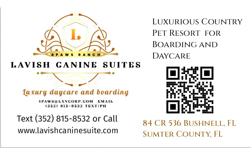 Lavish Canine Suite