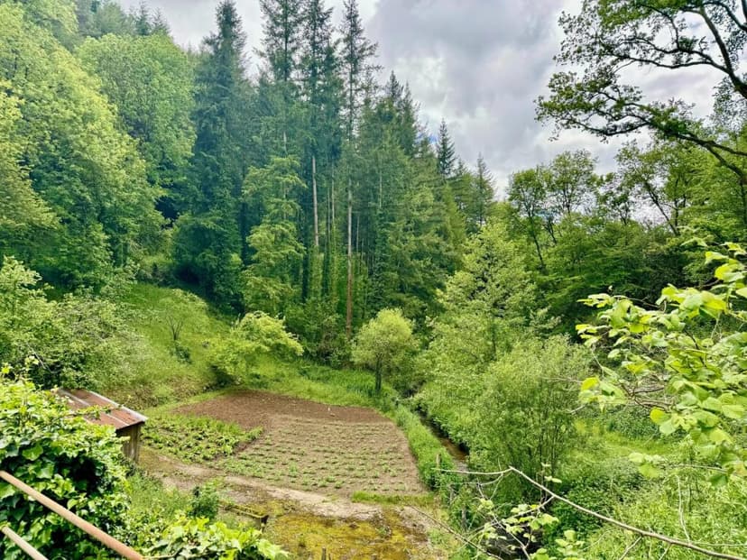 Additional image 3 of Midi-Pyrénées, Aveyron, Rieupeyroux, France
