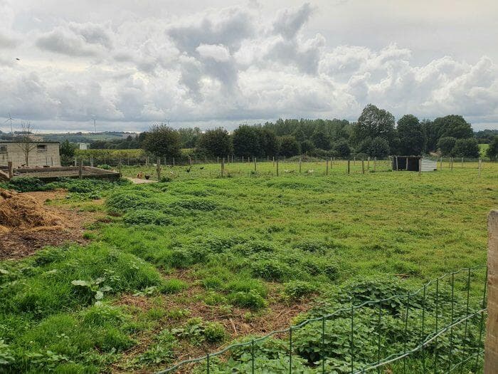 Additional image 2 of Plemet, Cotes-d'Armor, 22210, France