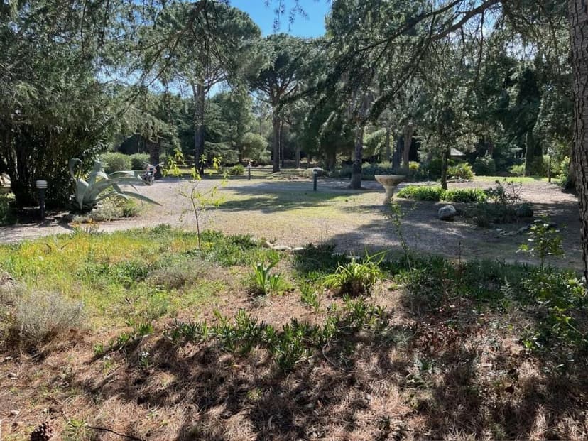 Additional image 2 of Languedoc-Roussillon, Pyrénées-Orientales, Argelès-sur-Mer, France