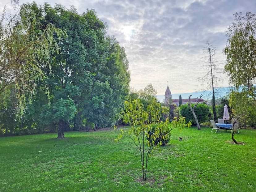 Additional image 2 of Poitou-Charentes, Charente, Ste-Sévère, France