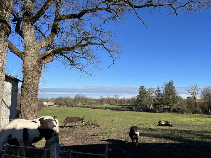 Additional image 2 of Poitou-Charentes, Vienne, Montmorillon, France