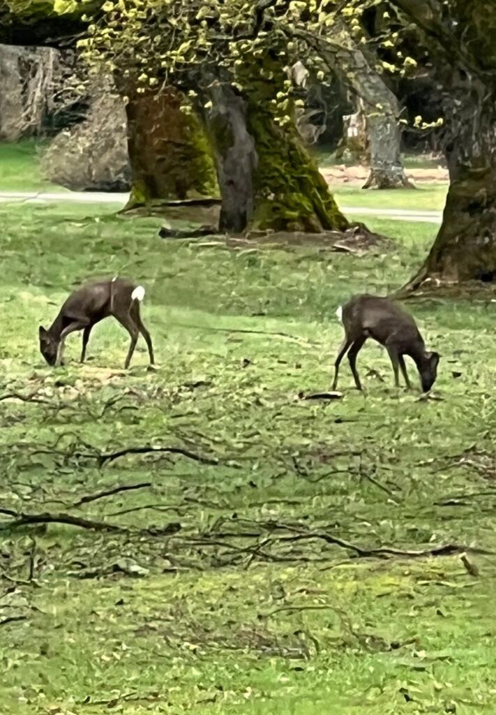 Additional image 31 of Keith Hall House, Inverurie, AB51
