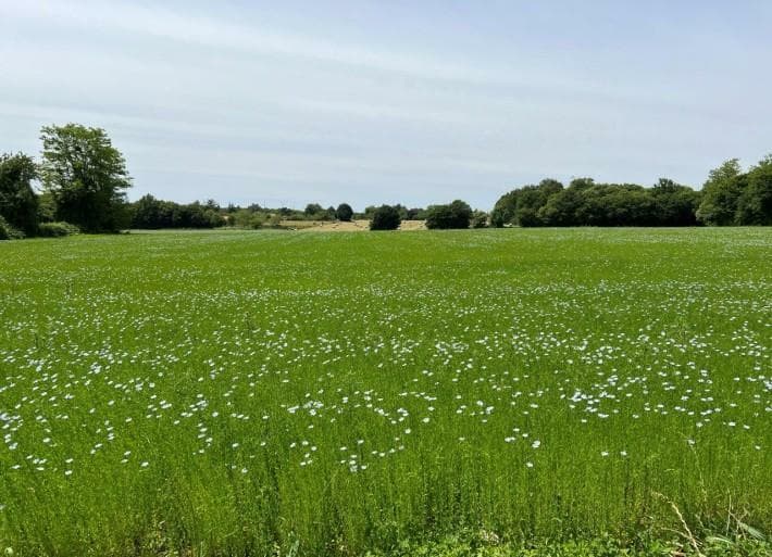 Additional image 3 of Bernac, Charente, 16700, France