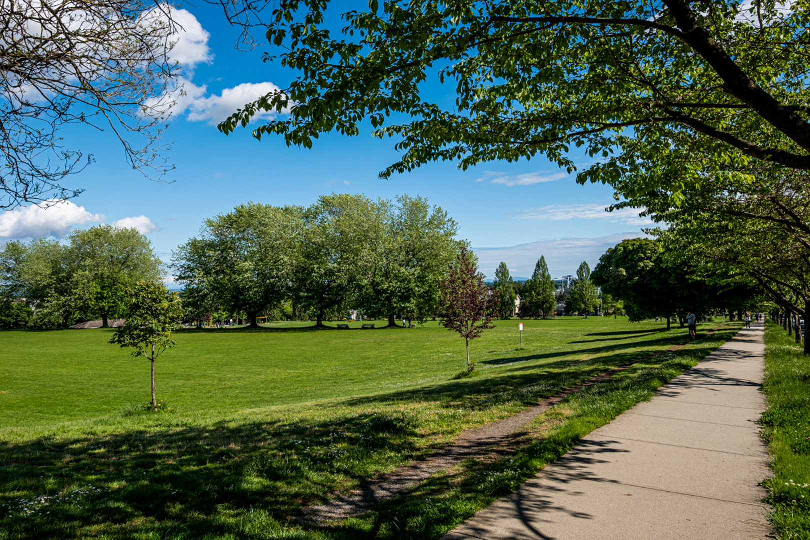 Additional image 11 of Savannah