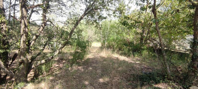 Primary image of Languedoc-Roussillon, Pyrénées-Orientales, Clara, France