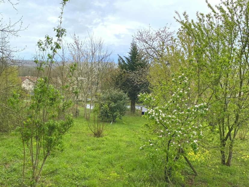 Additional image 2 of Poitou-Charentes, Vienne, Lussac-les-Châteaux, France