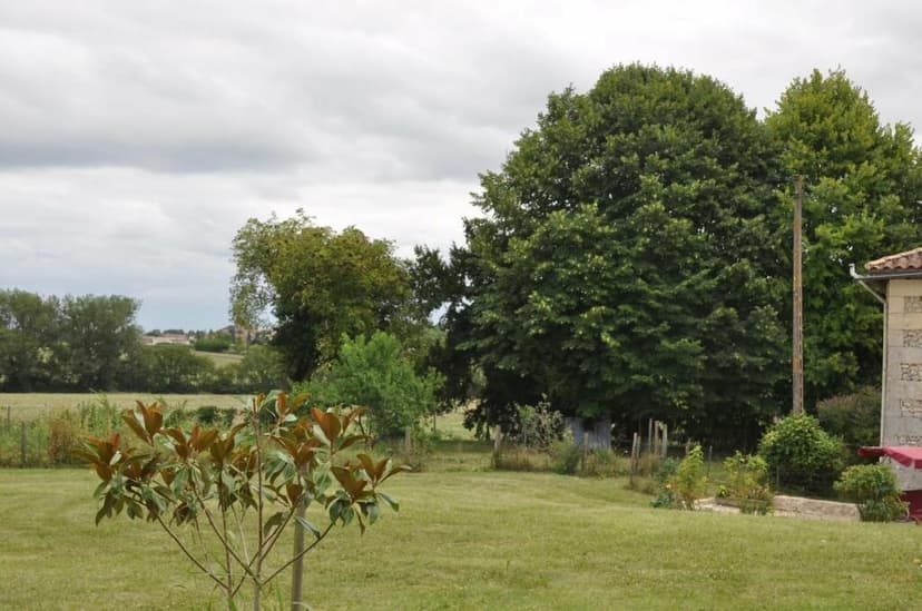 Additional image 2 of Poitou-Charentes, Charente, St-Séverin, France