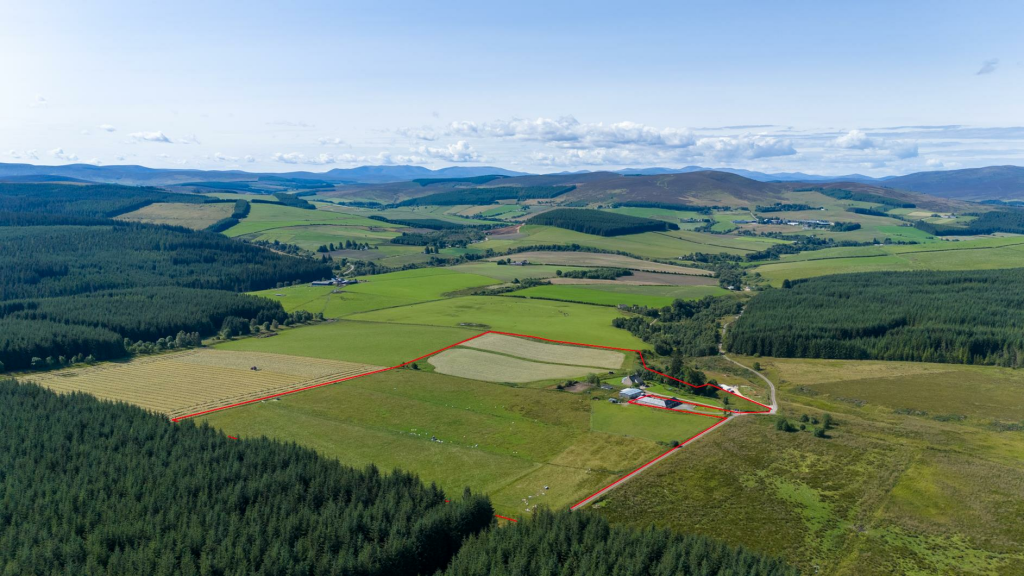 Additional image 9 of Glenlivet