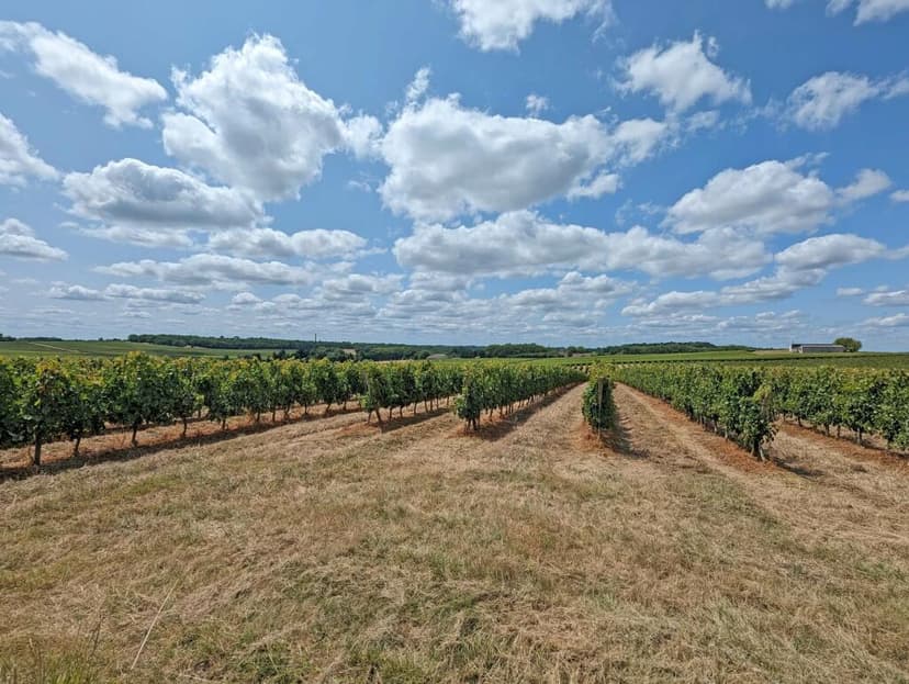 Additional image 2 of Aquitaine, Gironde, Pellegrue, France