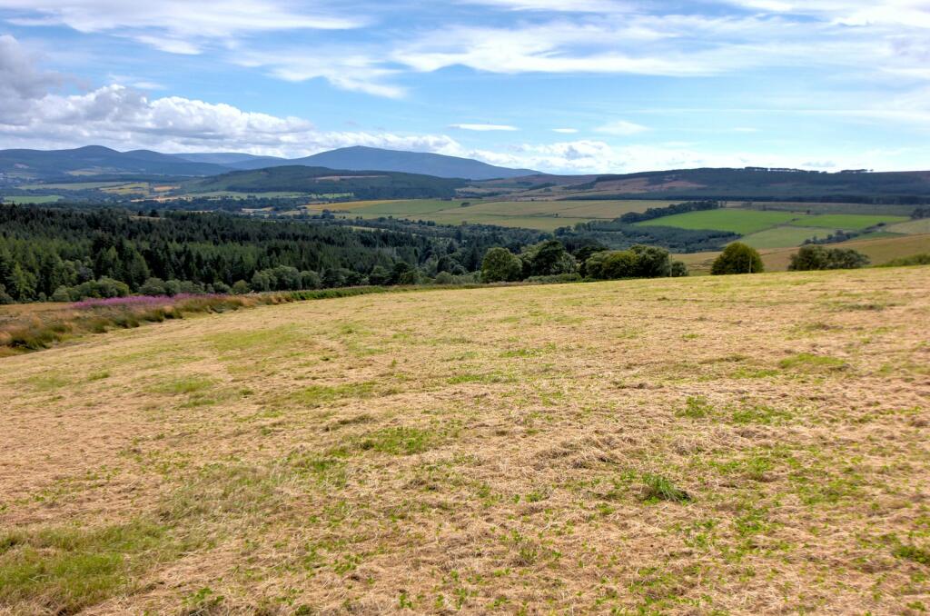 Additional image 22 of Barluack & Hillfolds - The Whole, Rothes, Moray, AB38