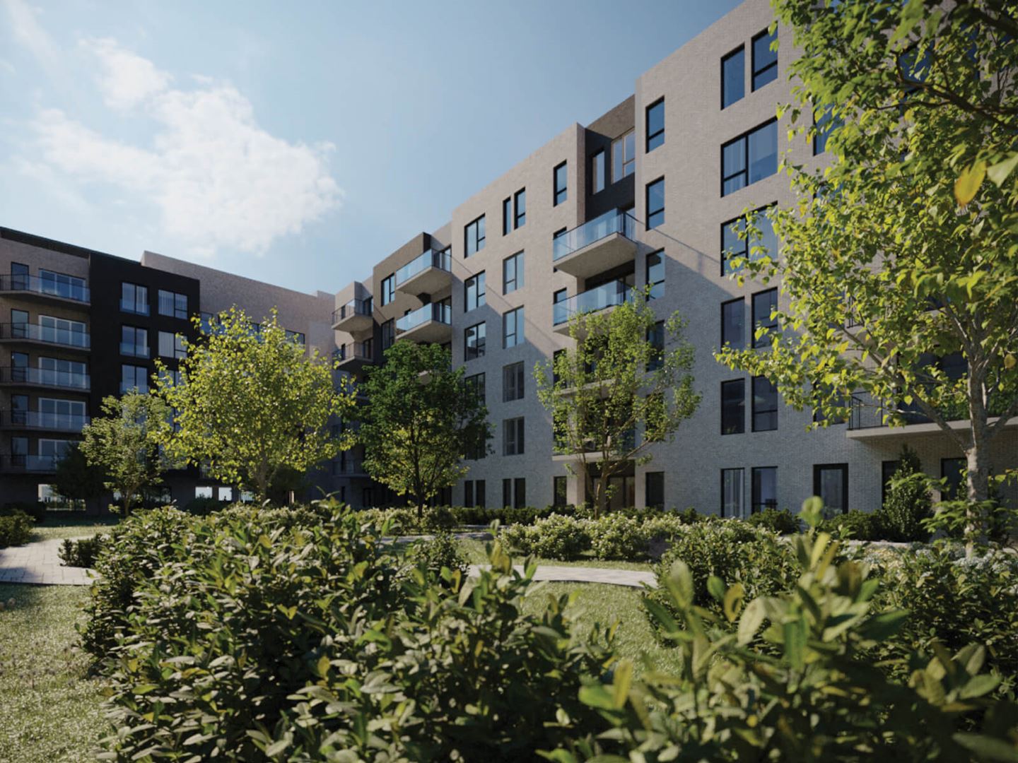 Additional image 4 of Signature Bois-Franc