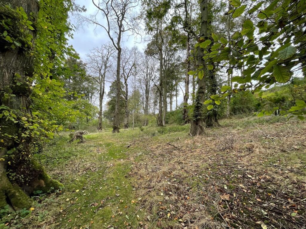 Additional image 50 of Mintlaw, Peterhead, AB42