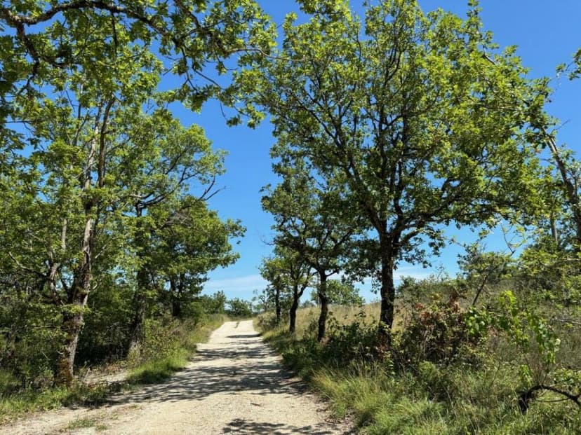 Additional image 2 of Midi-Pyrenees, Lot, Saint-Pantaléon, France