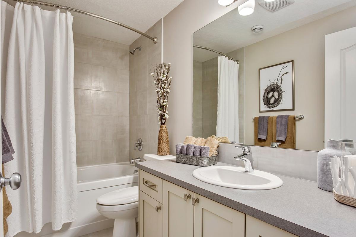 Additional image 13 of Cornerbrook