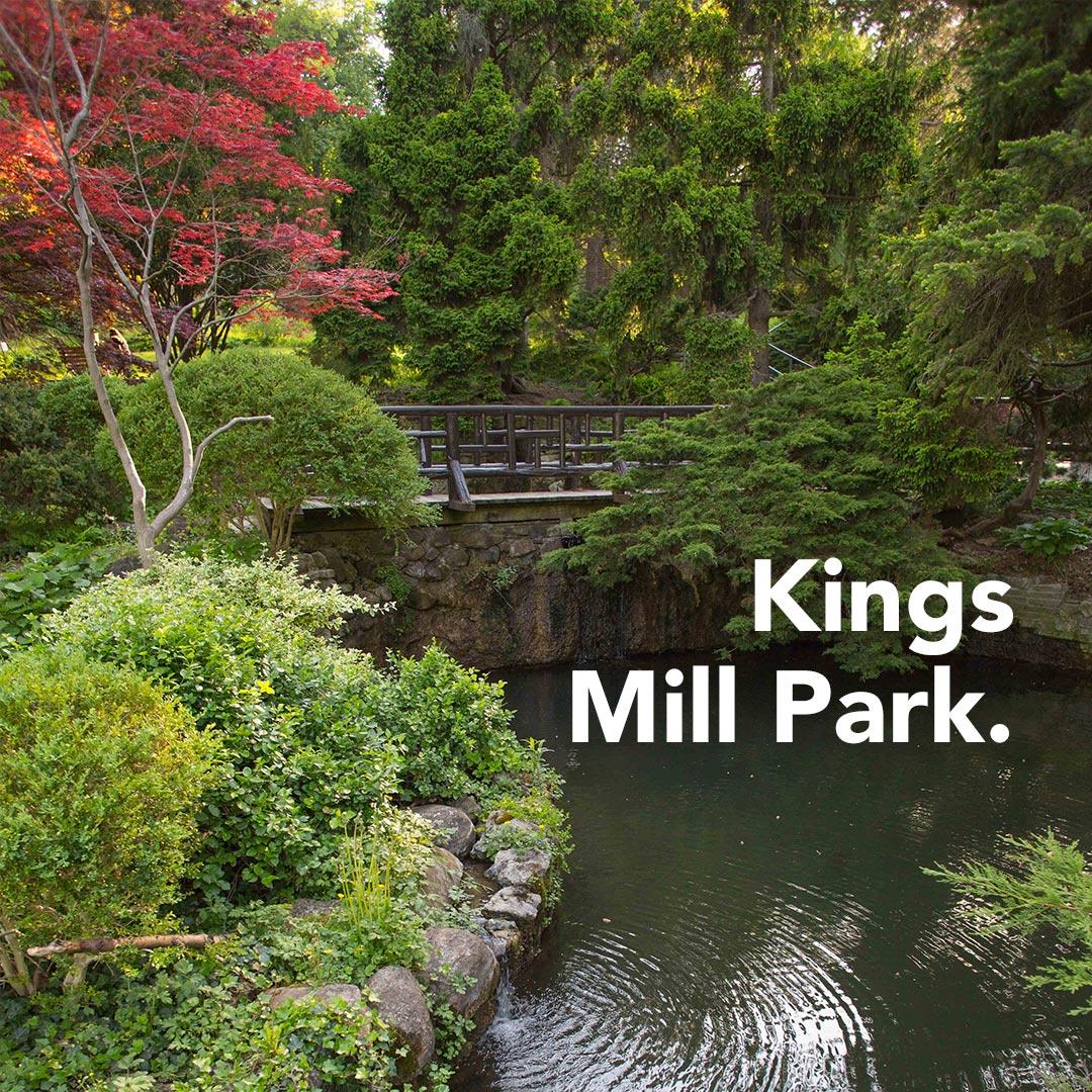 Additional image 59 of Evermore