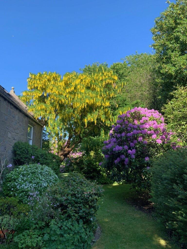 Additional image 21 of Polmuir Road, Aberdeen, Aberdeenshire