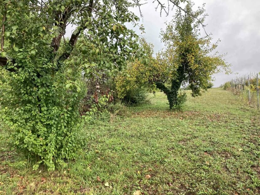 Additional image 2 of Aquitaine, Gironde, Monsegur, France