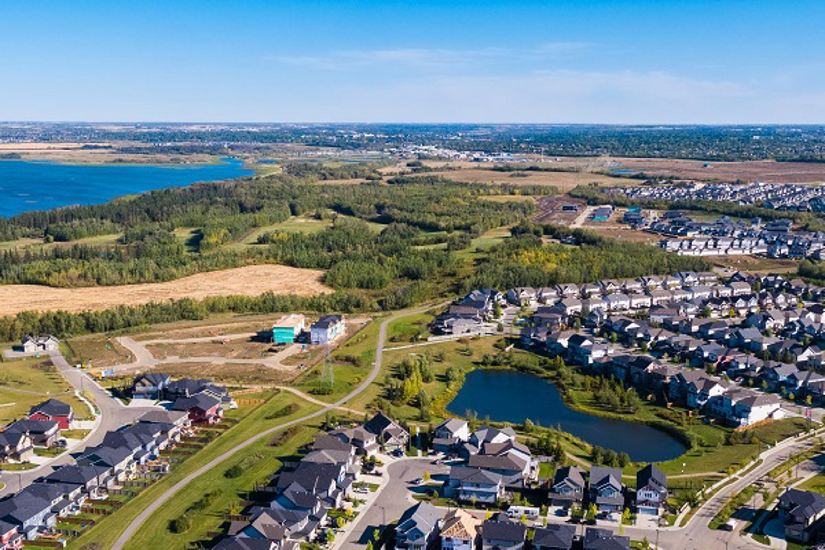 Additional image 2 of Trumpeter