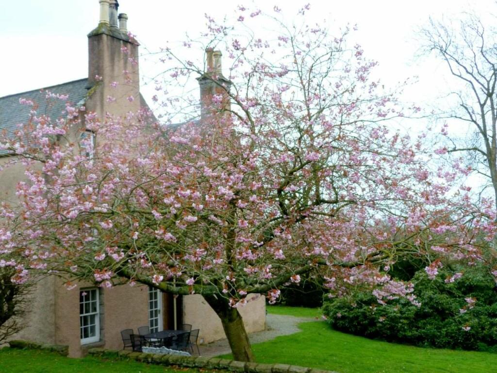 Additional image 6 of Kirkstane, House, Kirkton of Skene Westhill, Aberdeenshire AB32 6LX