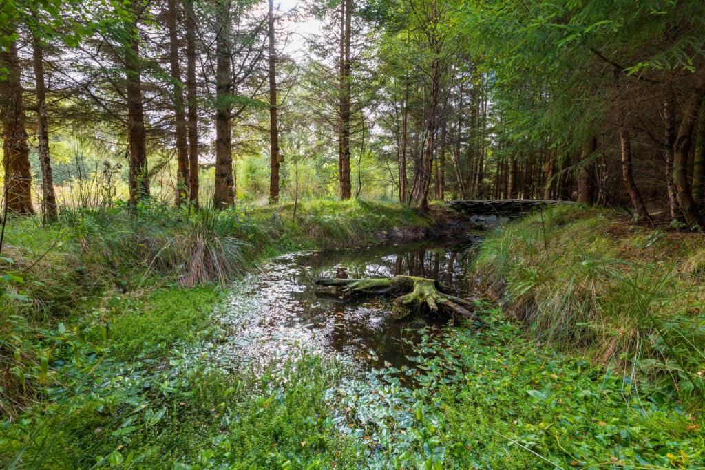 Additional image 4 of The Cotts Glen Of Rothes nr Rothes, Rothes, AB38 7AQ