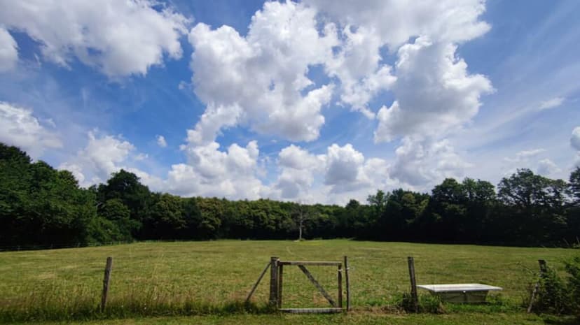 Additional image 3 of Poitou-Charentes, Deux-Sèvres, Clussais-la-Pommeraie, France