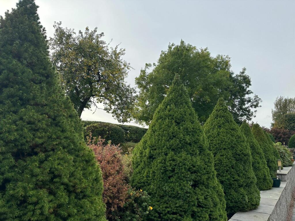 Additional image 40 of Dunecht, Westhill, AB32