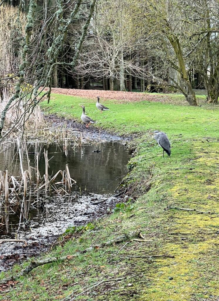 Additional image 29 of Keith Hall House, Inverurie, AB51