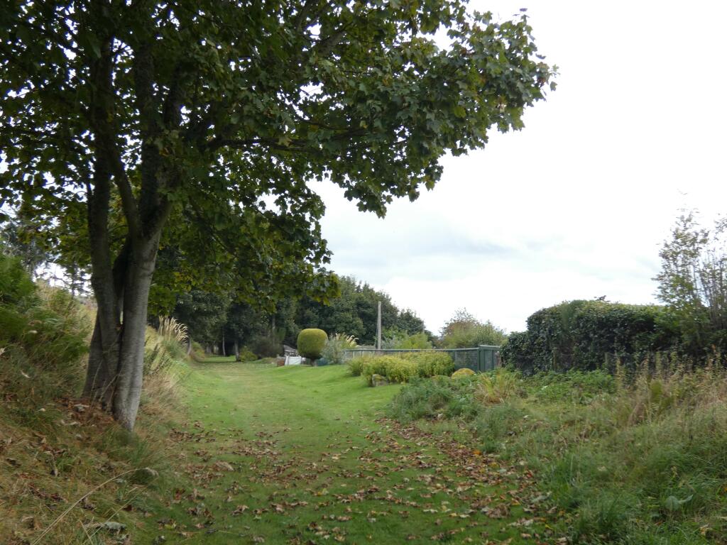 Additional image 42 of ..., Monymusk, AB51