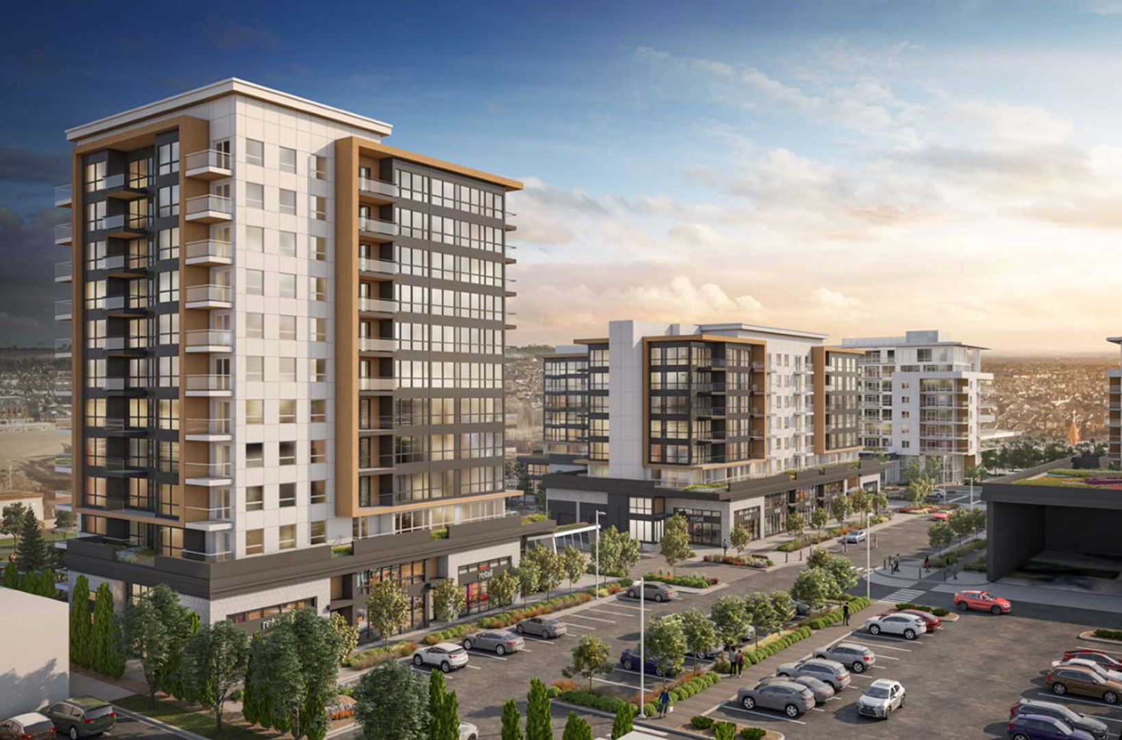 Additional image 4 of Oak & Olive