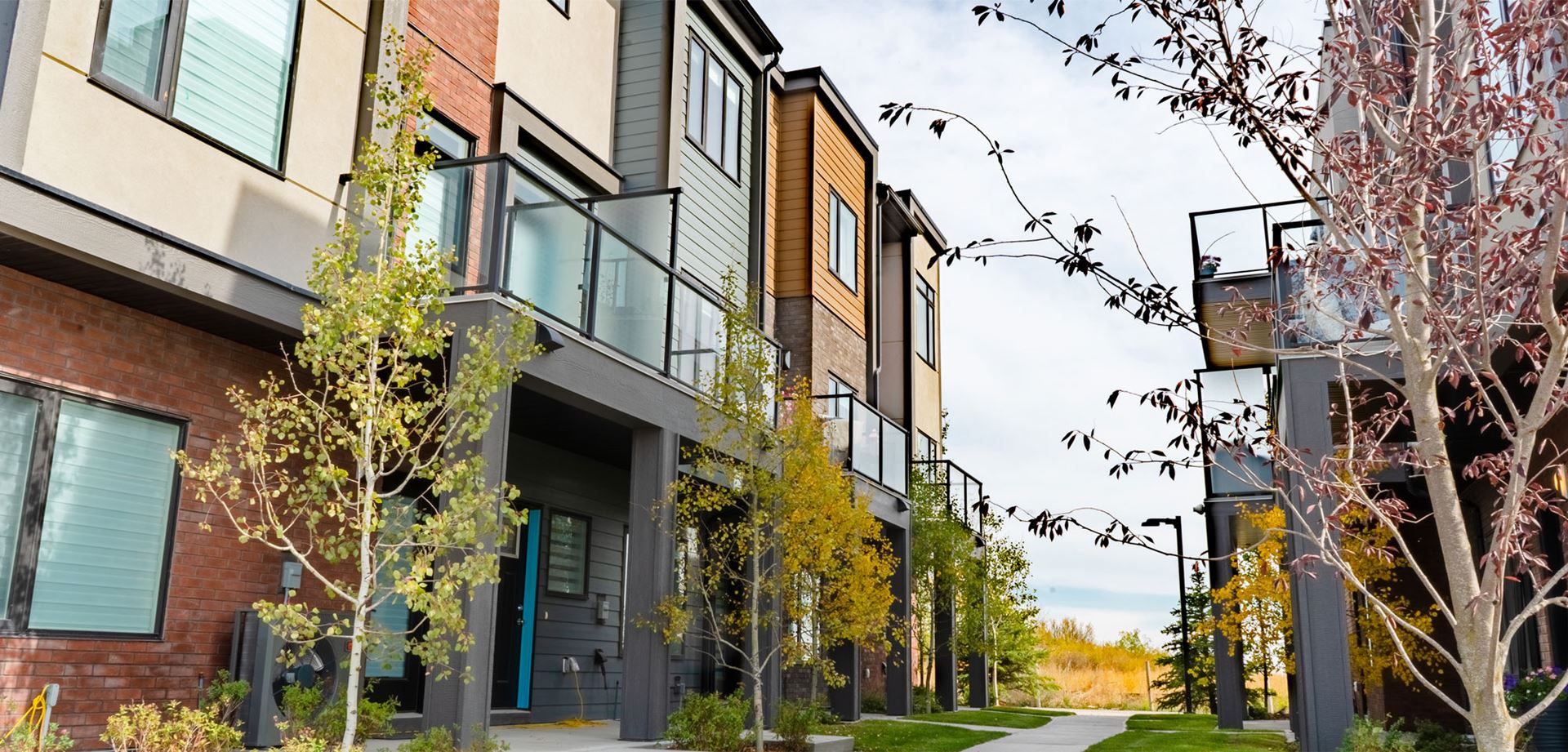 Additional image 4 of Artis in Greenwich