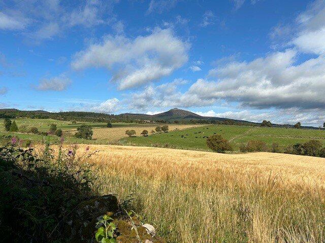 Additional image 8 of Bograxie, Fetternear, Kemnay, Aberdeenshire, AB51