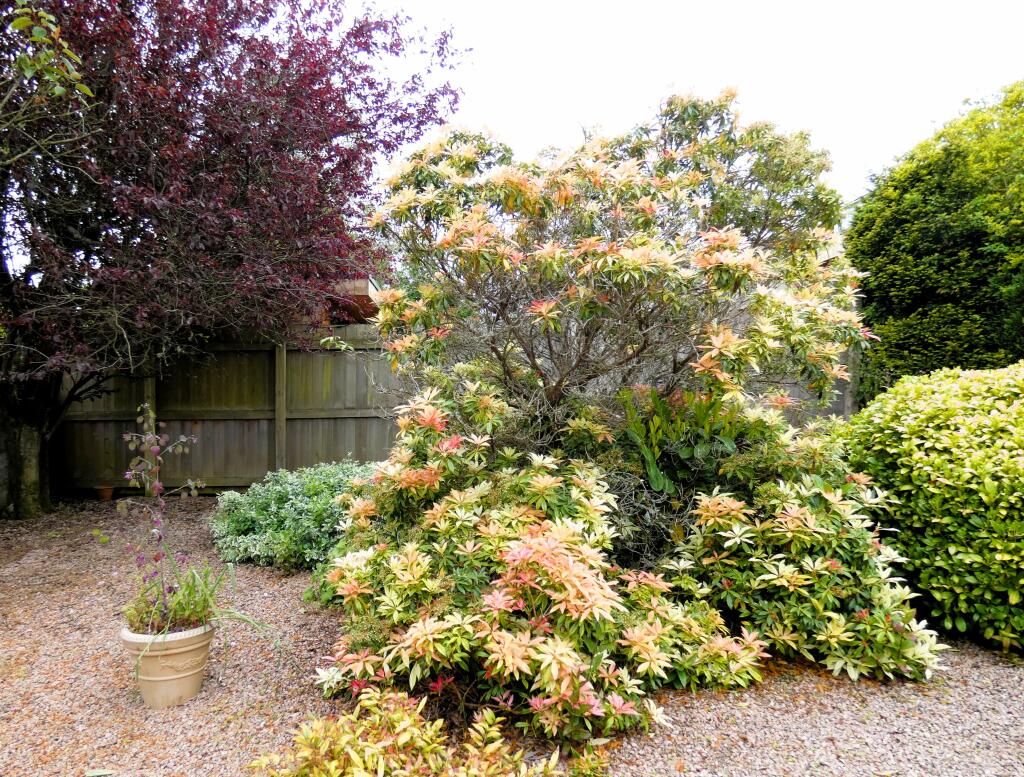 Additional image 5 of Craigton Road, Aberdeen, AB15