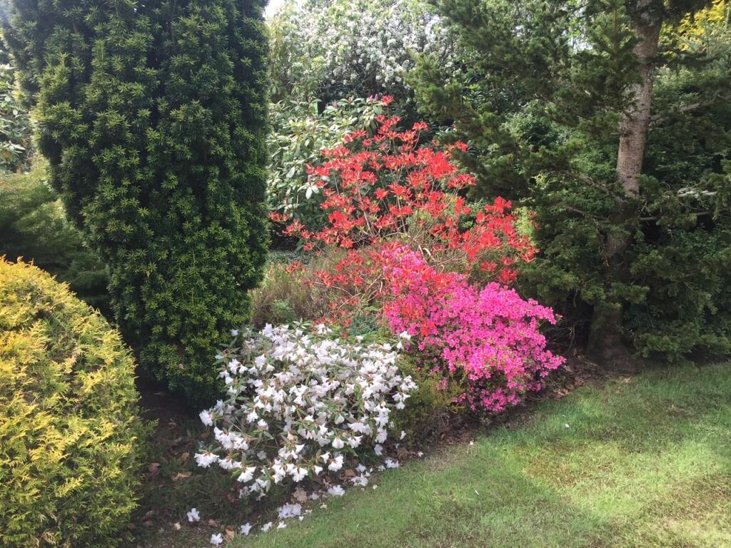 Additional image 31 of ,, Inverurie, AB51